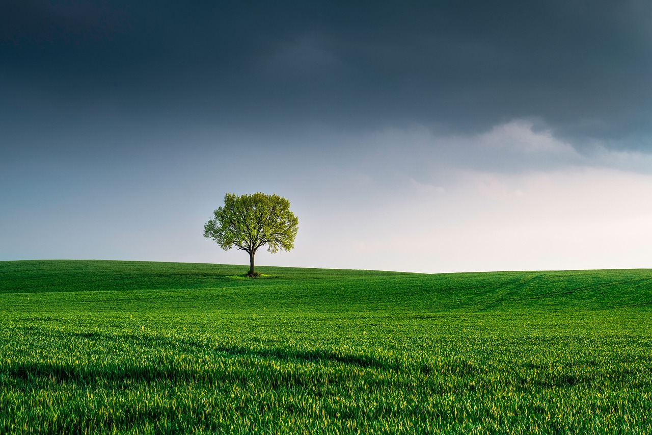 Crafts to Teach Kids about the Importance of Earth Day